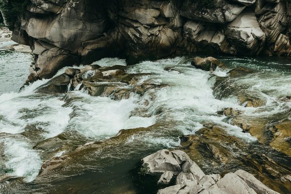 Discover the Best Spots to Participate in Authentic UK Cheese-Making Workshops!