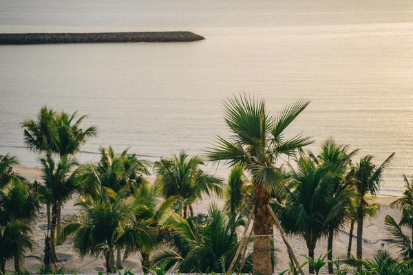 Unveiling secrets: explore the uk museums featuring fascinating exhibits on british espionage history